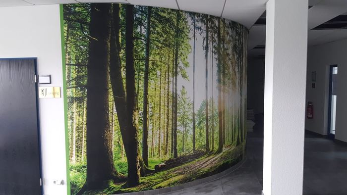 Großflächige Fototapete mit Waldmotiv in einem gewerblichen Innenraum